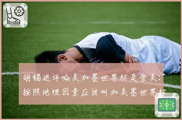胡锡进评喊美加墨世界杯是崇美：按照地理因素应该叫加美墨世界杯
