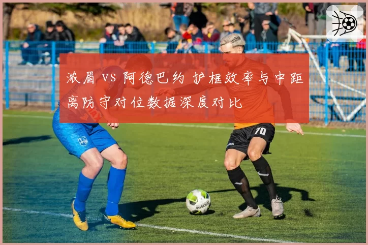 浓眉 vs 阿德巴约 护框效率与中距离防守对位数据深度对比